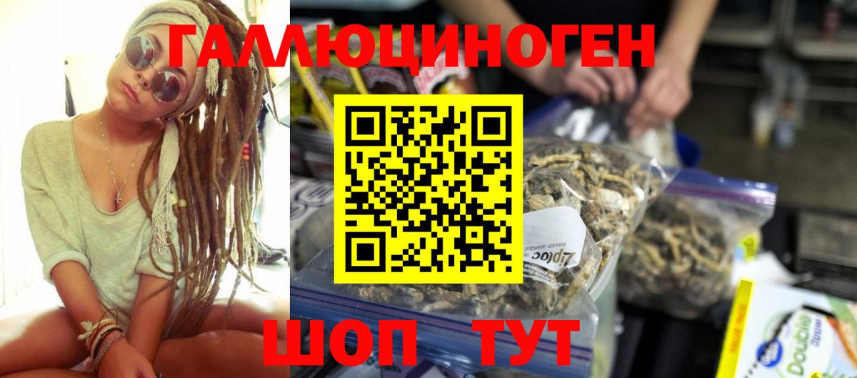 Зеленогорск  Галлюциногенные грибы GOLDEN TEACHER  Вход с VPN 